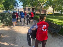 PASEOS AL PARQUE 2022